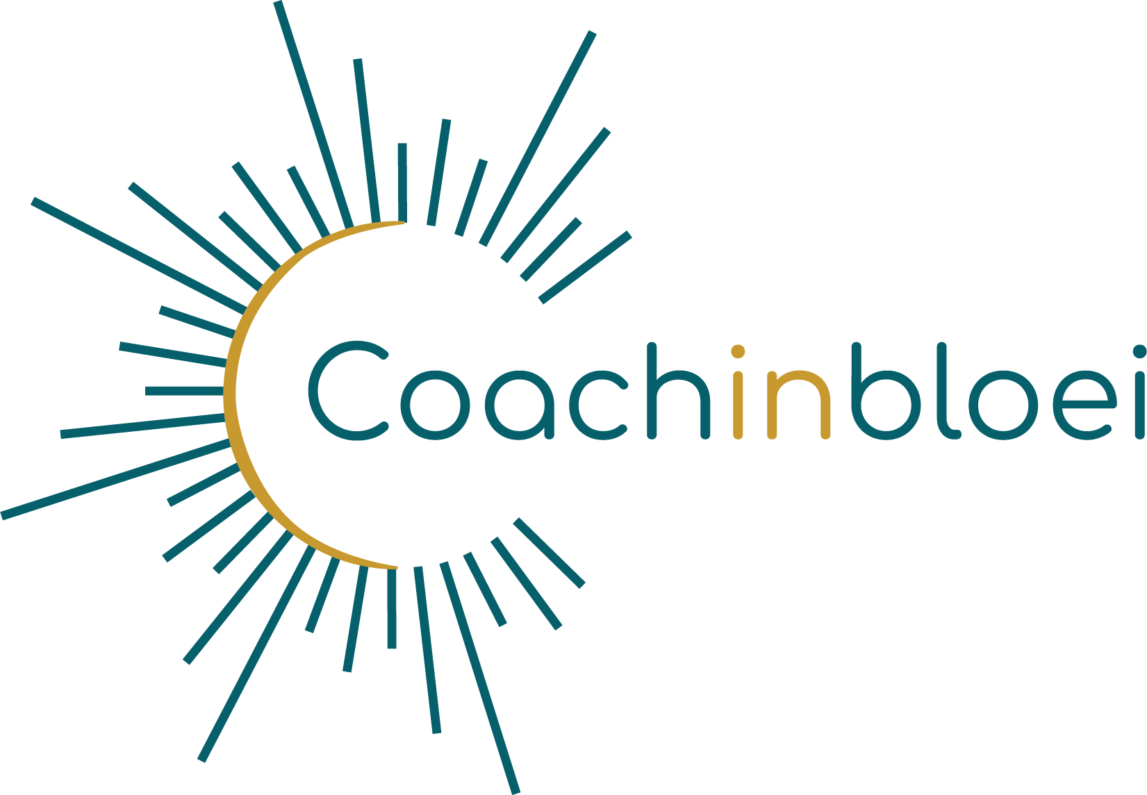 Coach in bloei